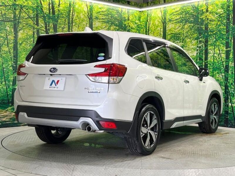 FORESTER