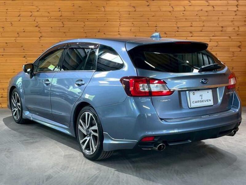 LEVORG