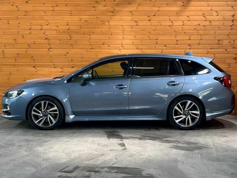 LEVORG