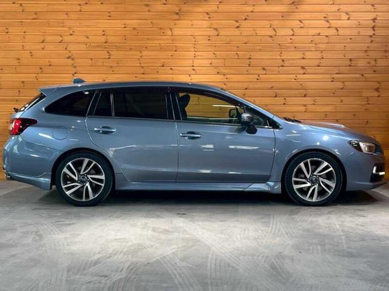 LEVORG