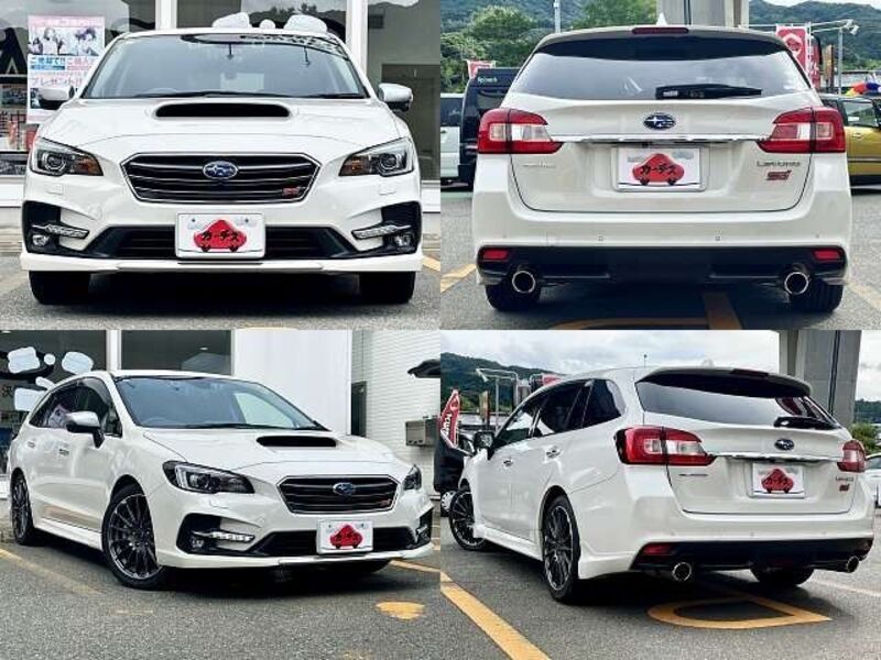 LEVORG