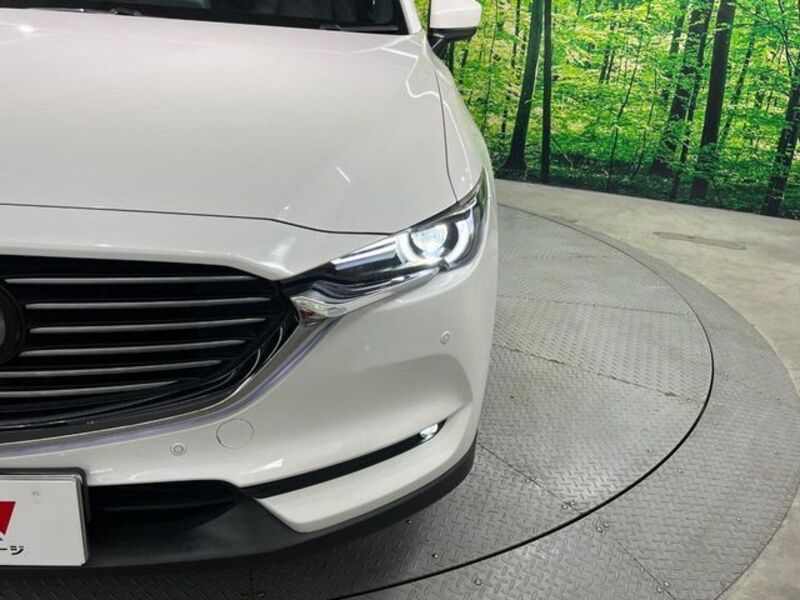 CX-8