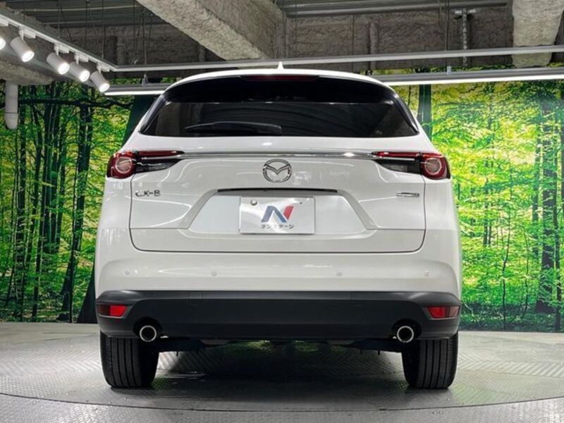 CX-8