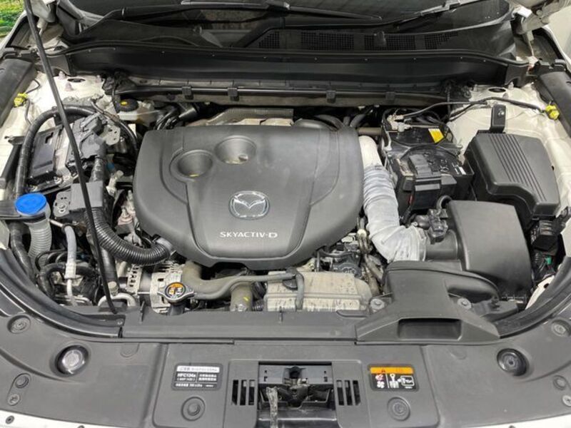 CX-8