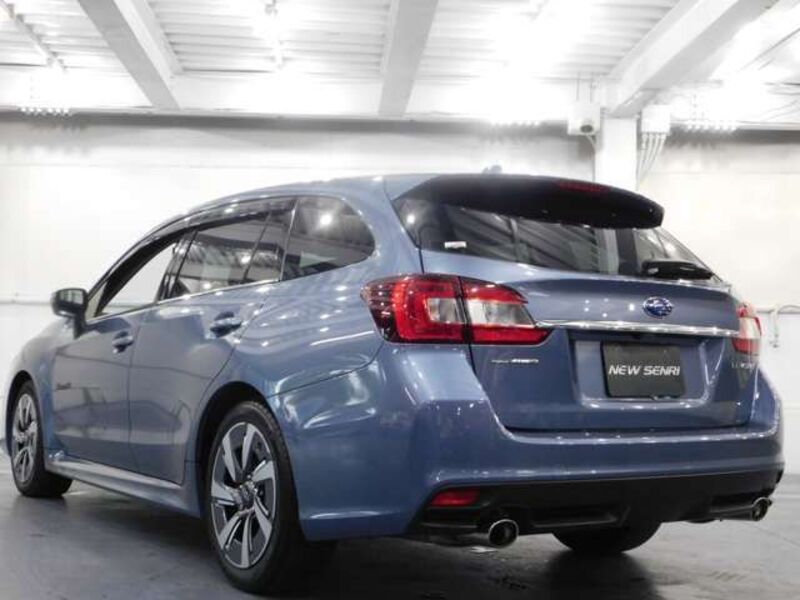 LEVORG