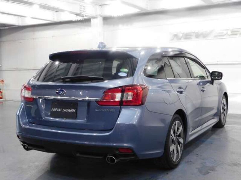 LEVORG