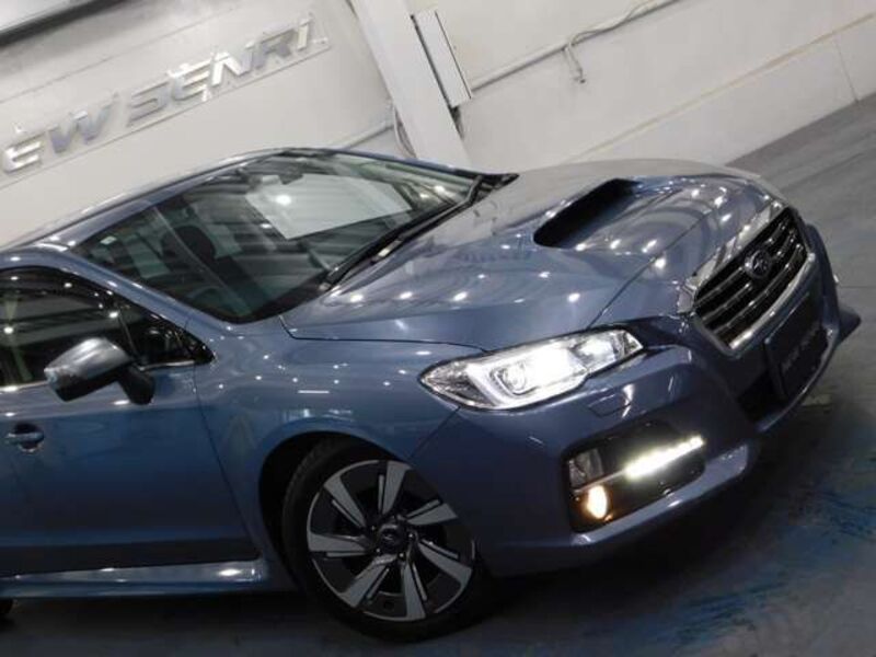 LEVORG