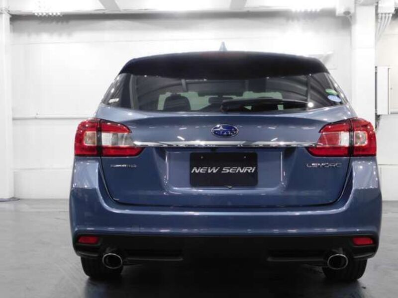 LEVORG