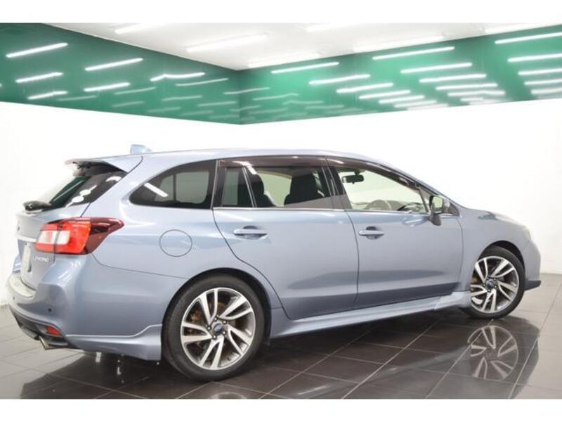 LEVORG