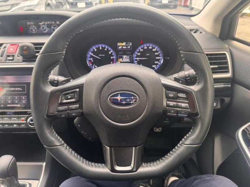 LEVORG