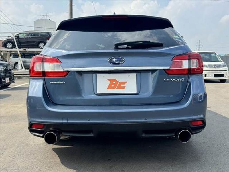 LEVORG
