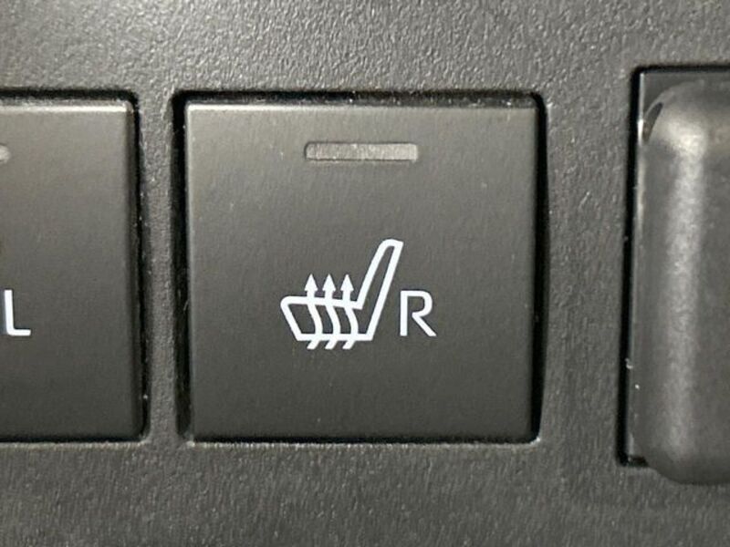 RAIZE