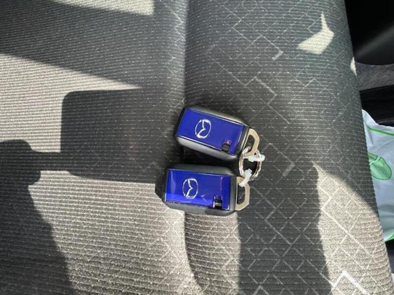 FLAIR