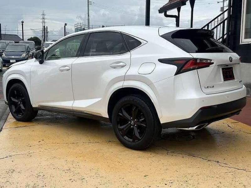 NX