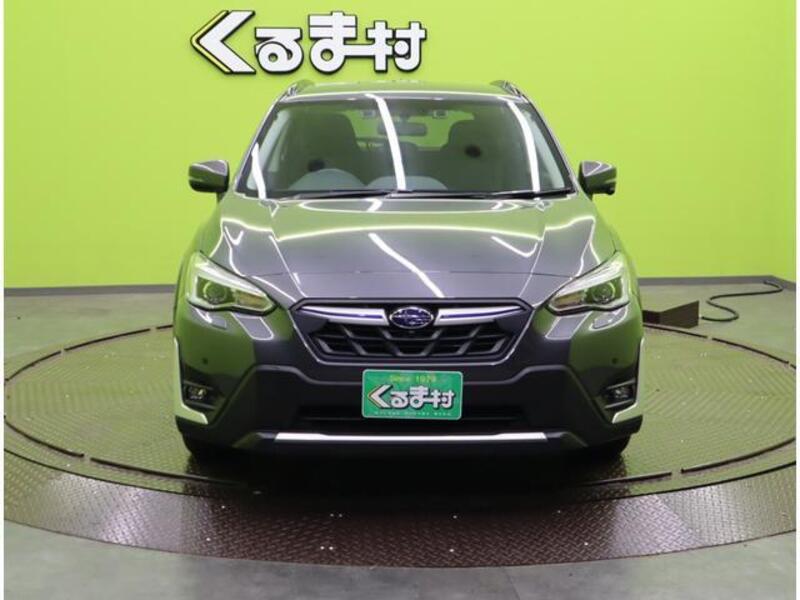 XV