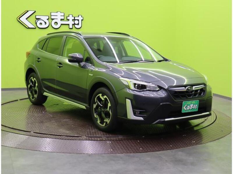 XV