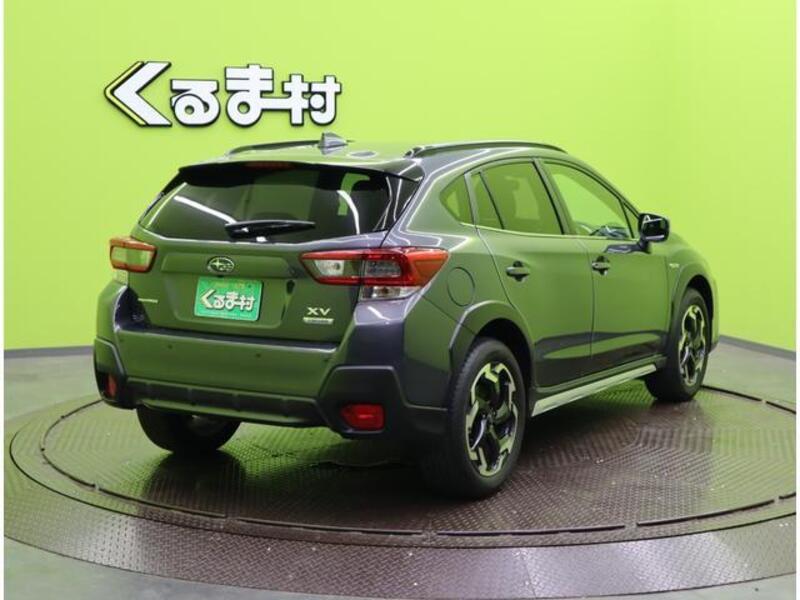 XV