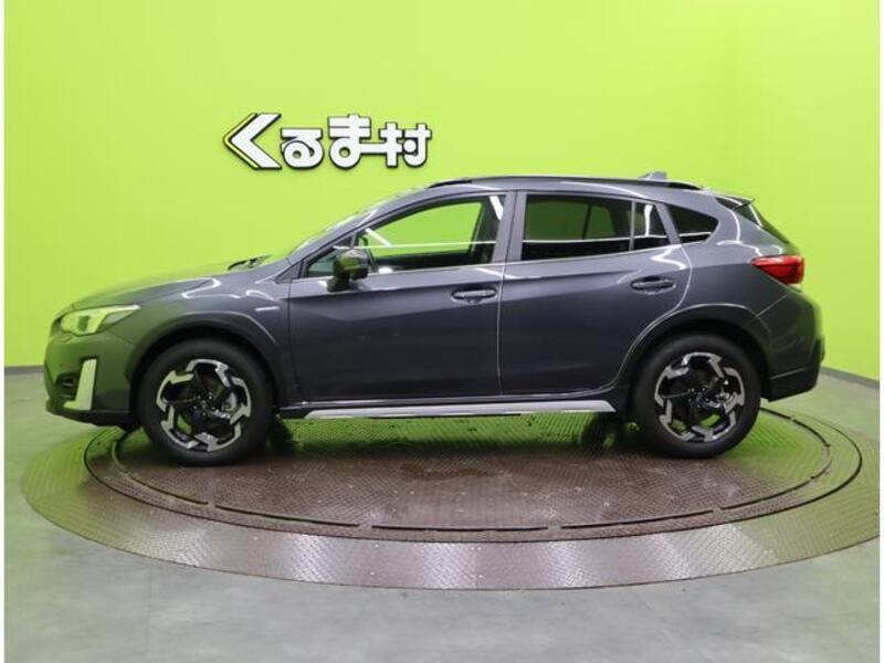 XV