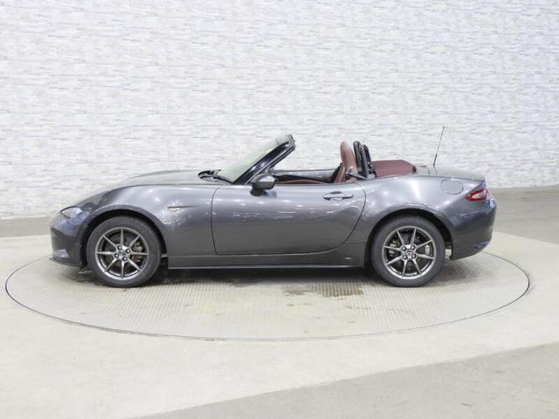 ROADSTER