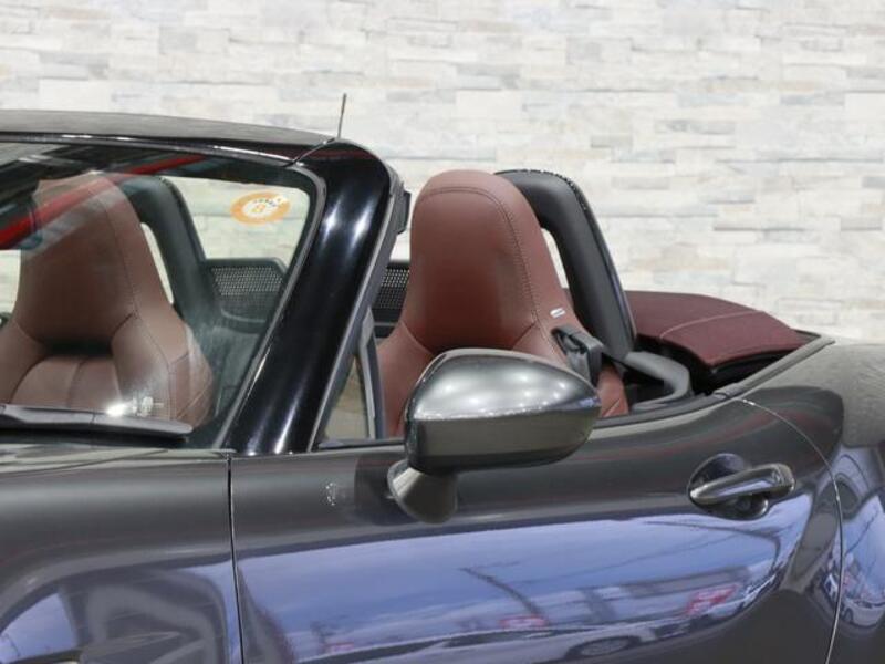 ROADSTER