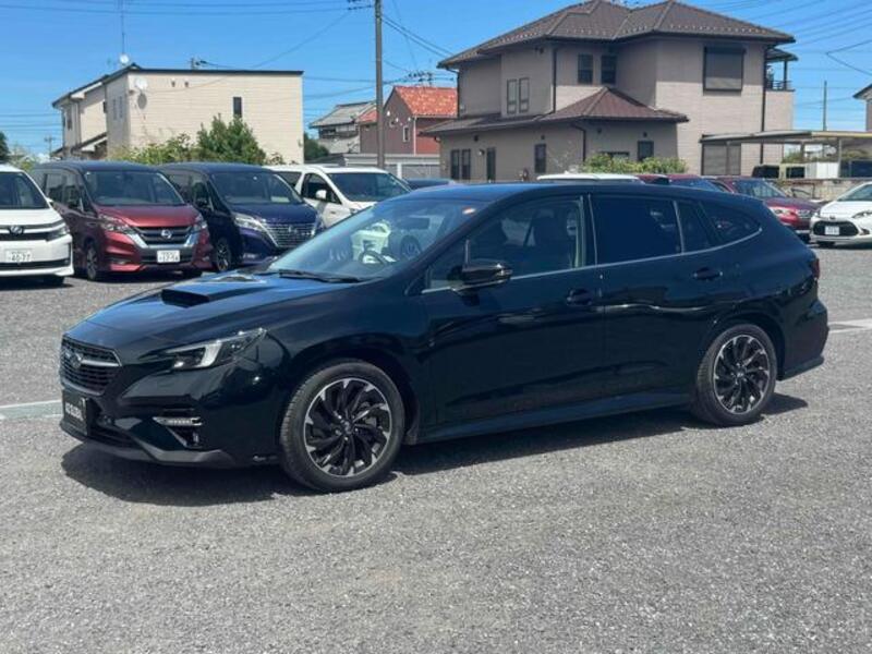 LEVORG