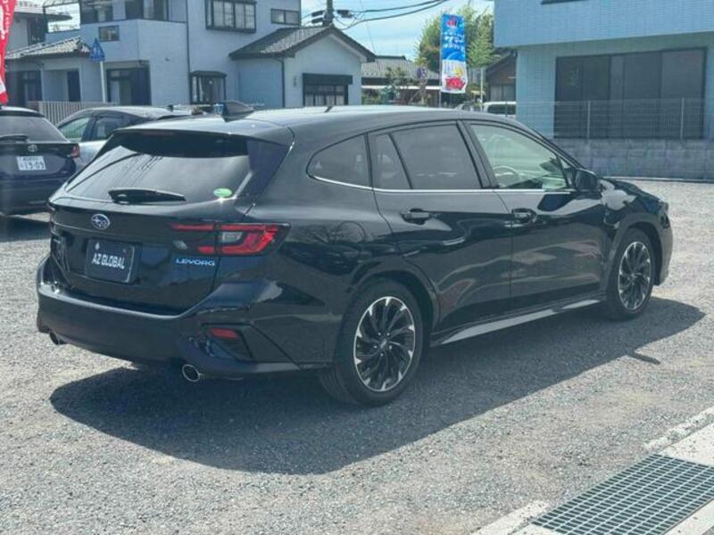 LEVORG