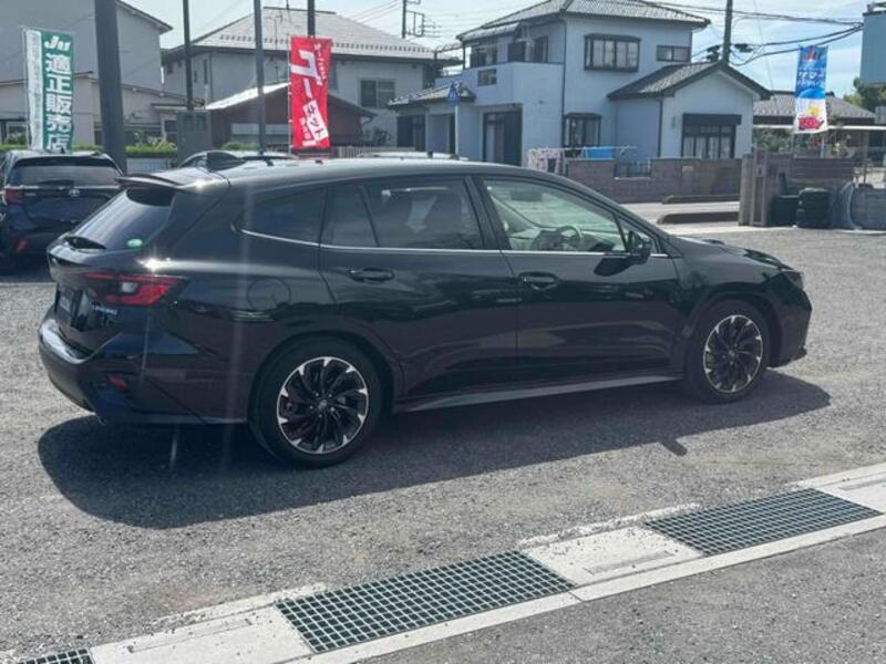 LEVORG