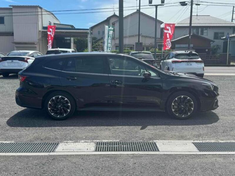 LEVORG