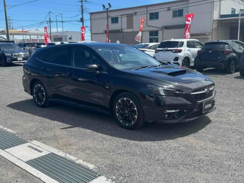 LEVORG