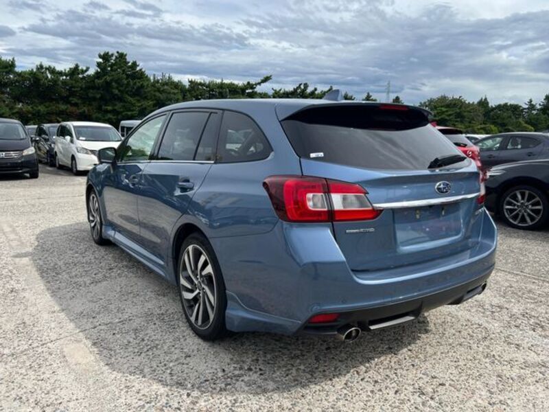 LEVORG
