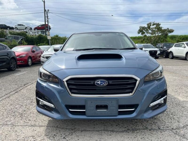 LEVORG