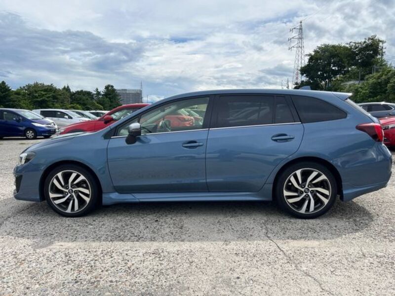 LEVORG