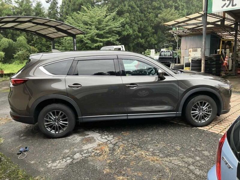 CX-8