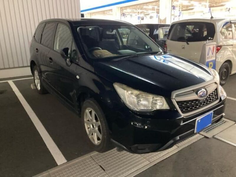 FORESTER