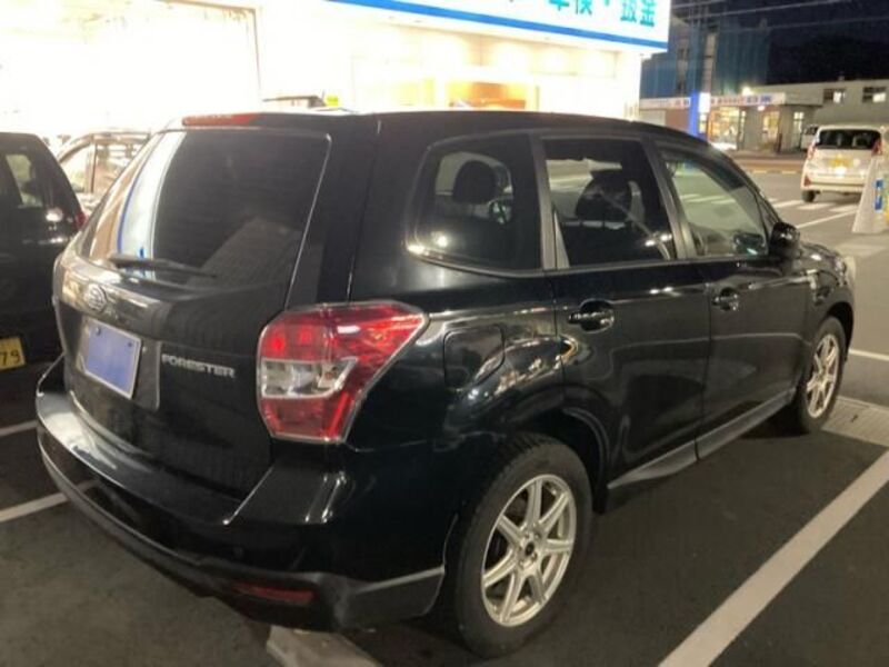 FORESTER