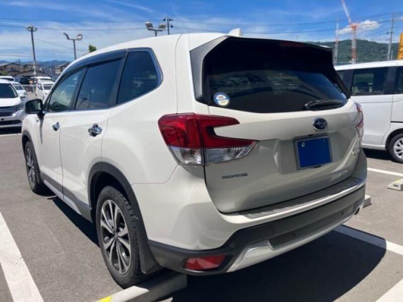 FORESTER