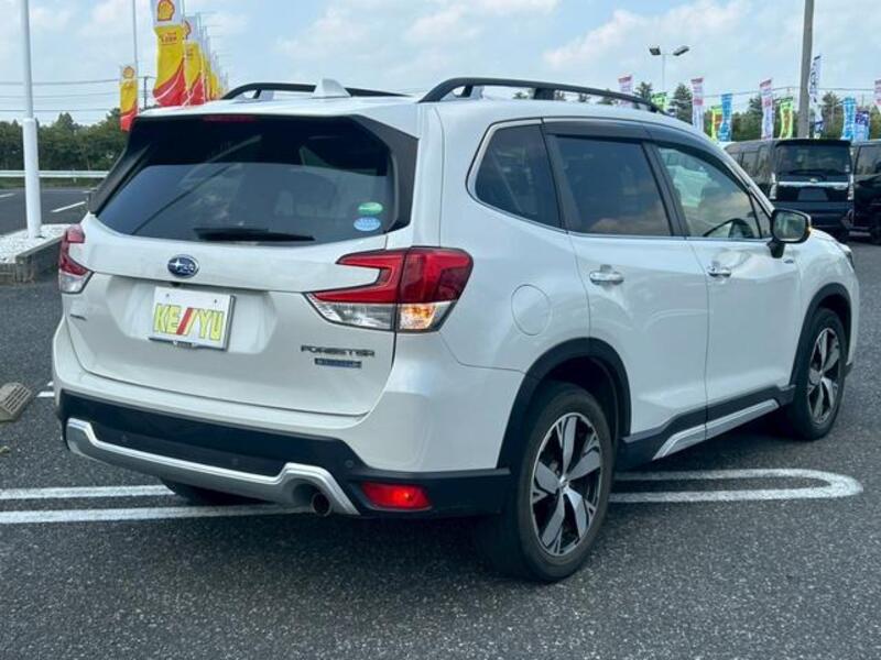 FORESTER