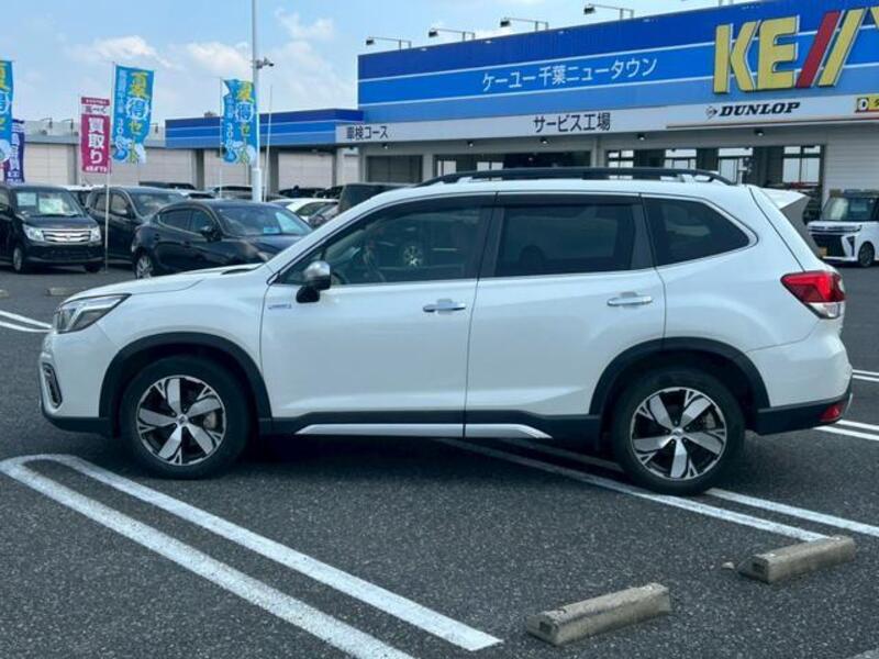 FORESTER