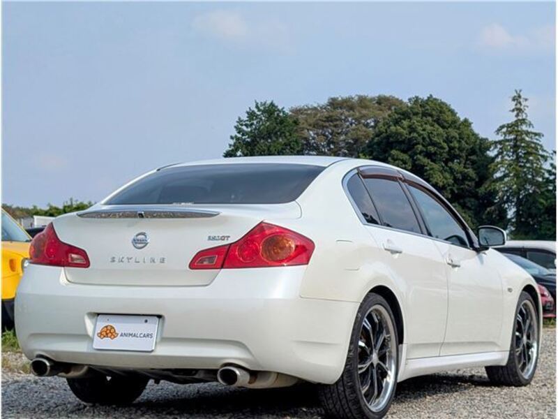 SKYLINE