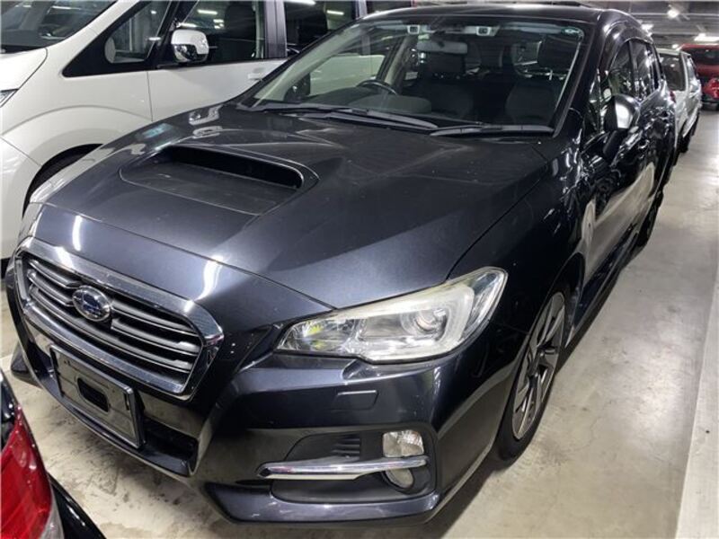 LEVORG-0