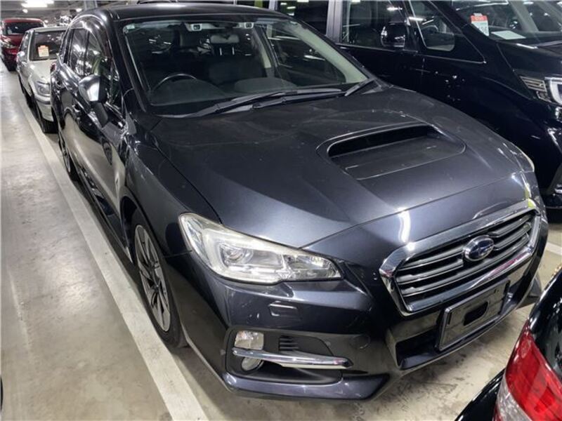 LEVORG