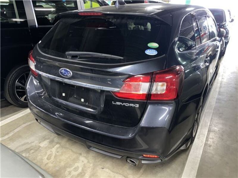 LEVORG