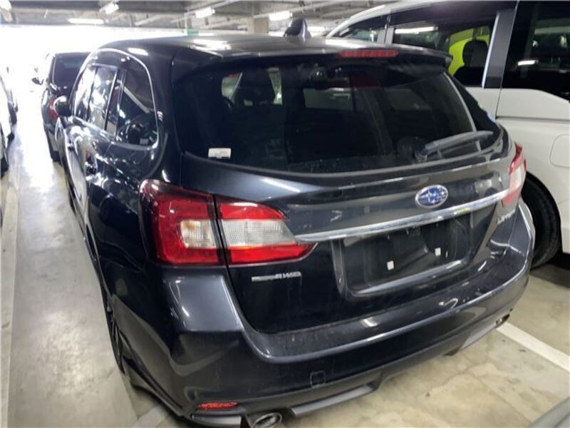 LEVORG