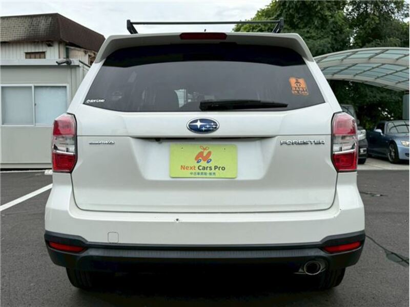 FORESTER