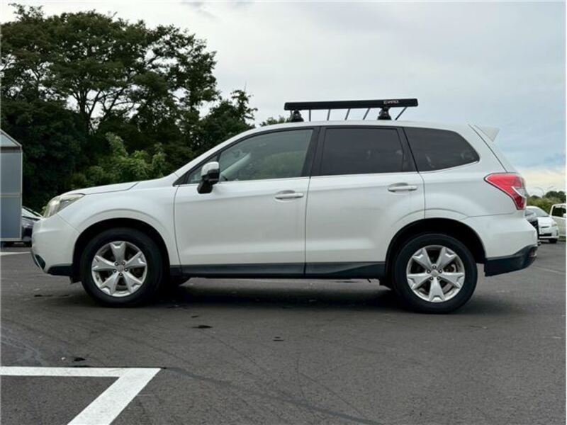 FORESTER