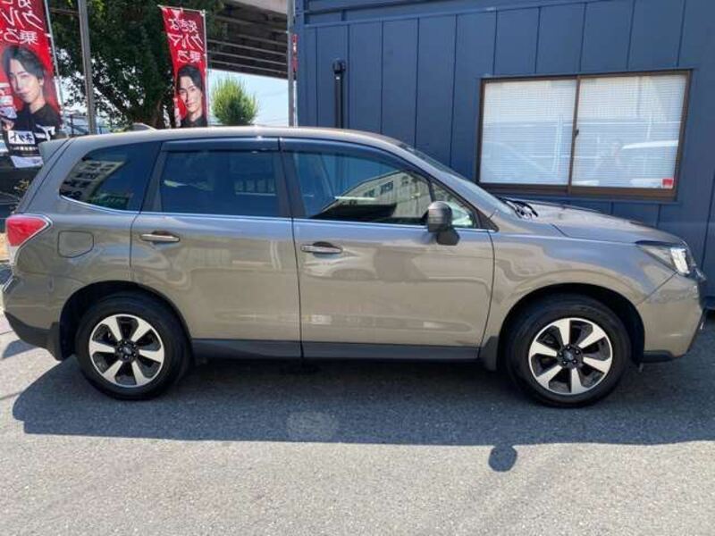 FORESTER