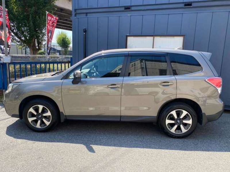 FORESTER