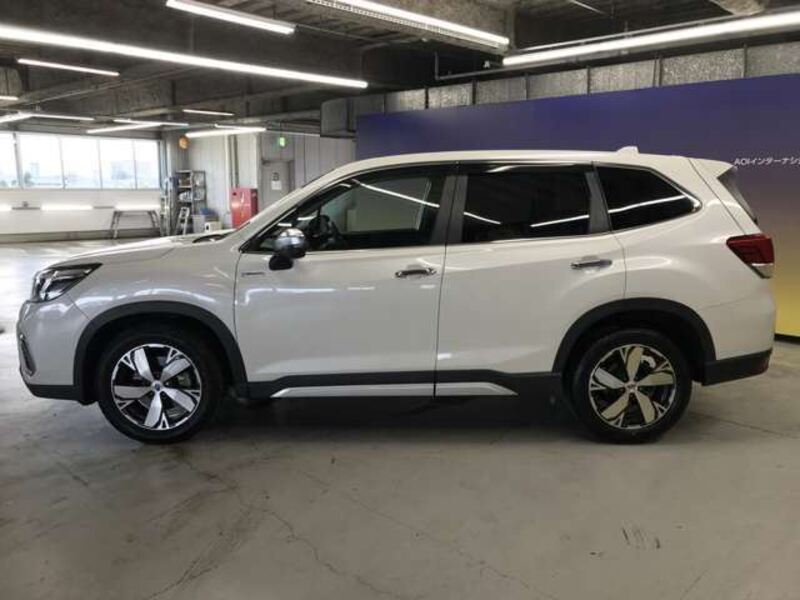 FORESTER