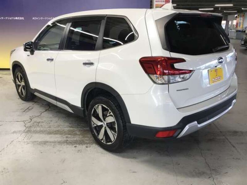 FORESTER