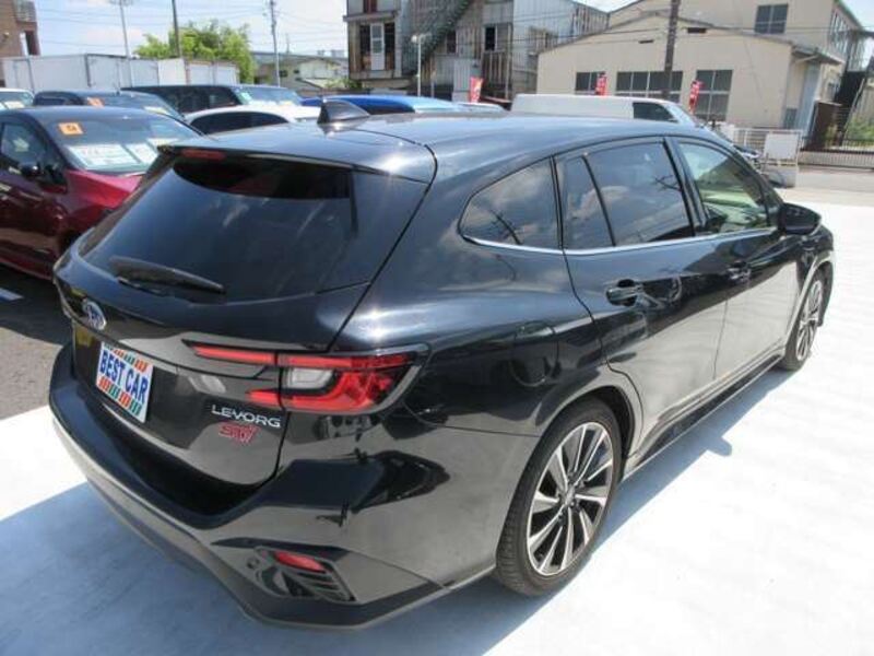 LEVORG